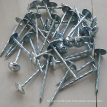 China Galvanized Twisted Umbrella Head Roofing Nails